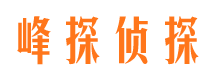 闸北市调查公司